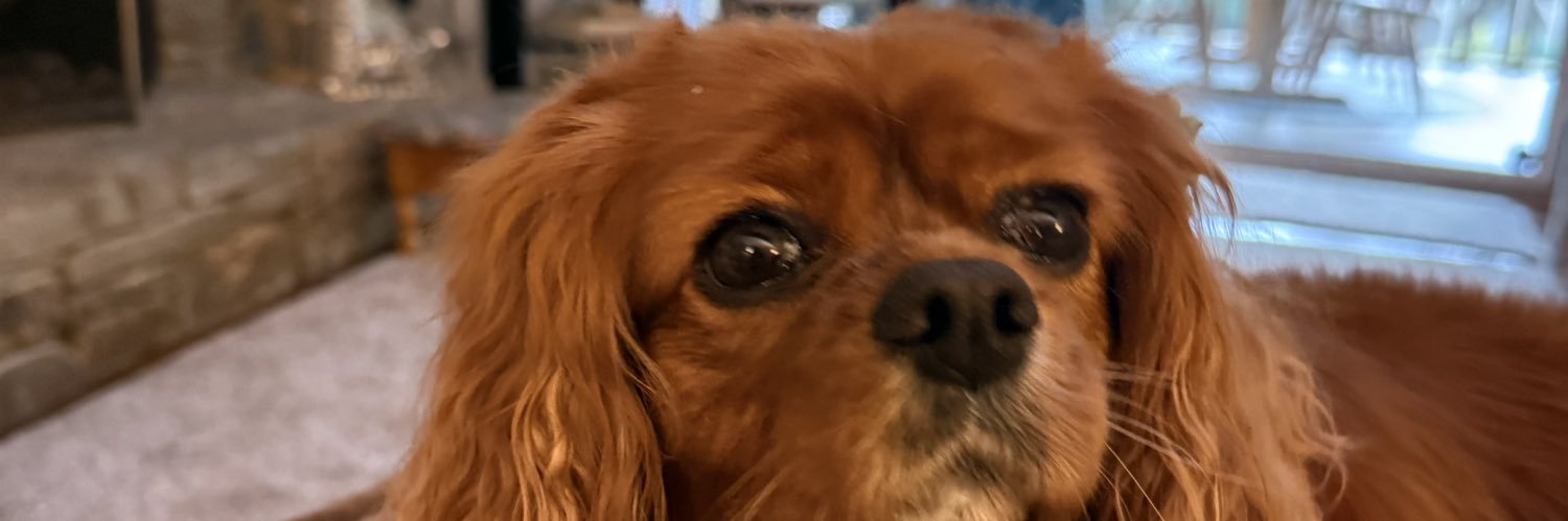 Faithval95's profile banner image