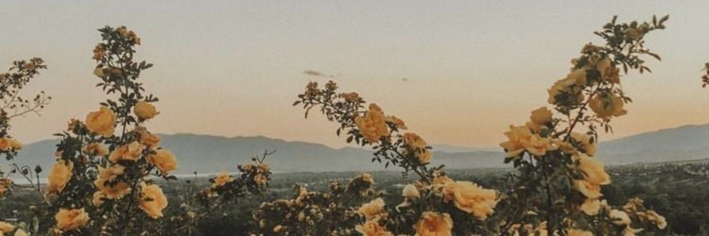 valentduran's profile banner image