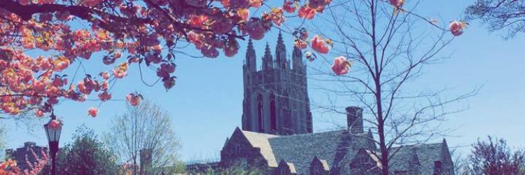 madeline_relli's profile banner image