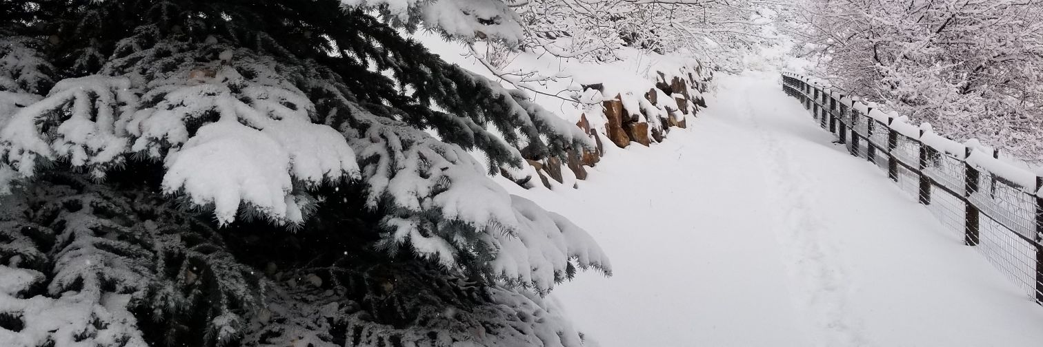 joshgardner29's profile banner image