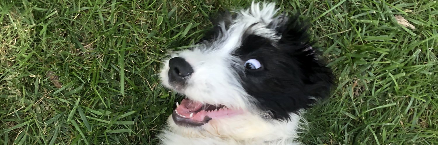 kulkat21's profile banner image