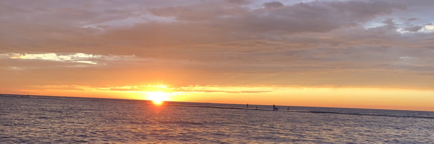 lainaelizabethw's profile banner image