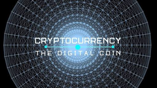 Triputr47583746's profile banner image