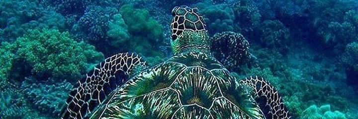 Juan Pablo Andrade banner