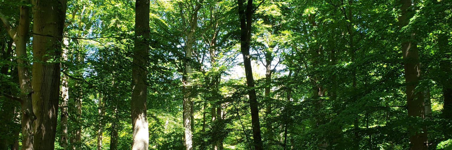 Majken Johansson banner