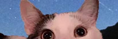 macagonzalezes's profile banner image