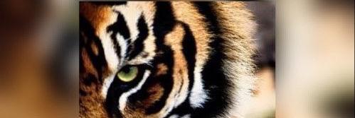 Its_rayyyyyy's profile banner image