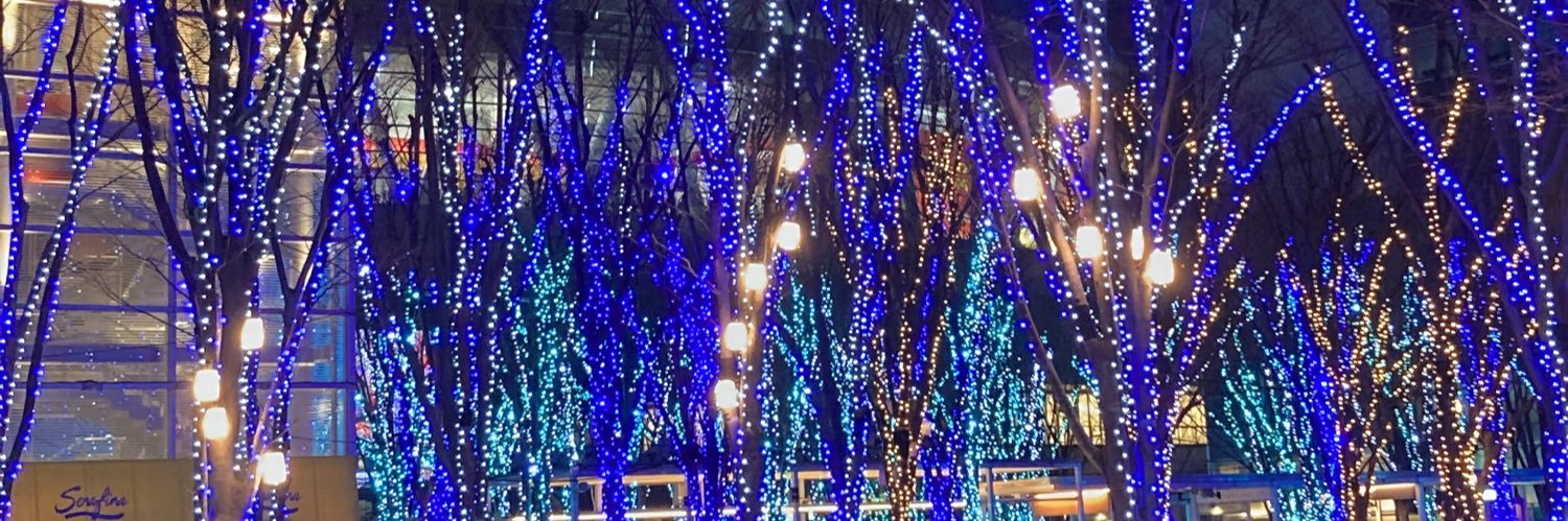 さよりちゃん🐟だしっこ🐟 banner