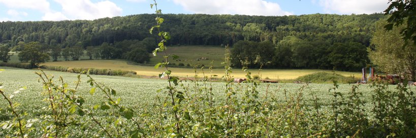 Heather Gorringe banner