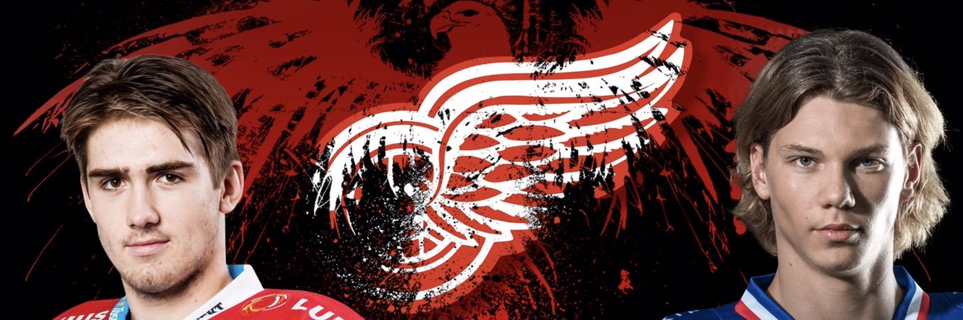DetroitRedWingz's profile banner image