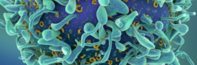 Kaechlab (Sue Kaech)'s banner