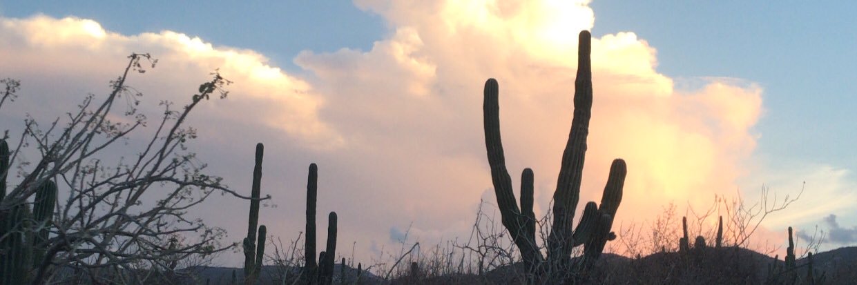 IlseCastro6's profile banner image