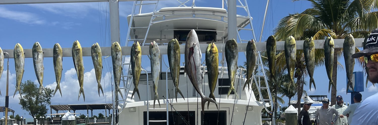 Cameron Evans banner