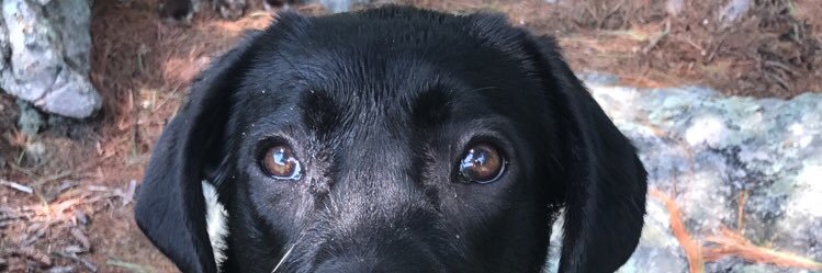 shanbuggy3's profile banner image