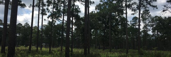 DrDisturbance Profile Banner