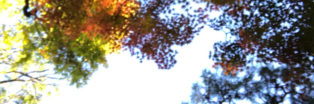 necomura_'s profile banner image