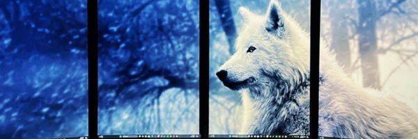 TheLoneWolf Profile Banner