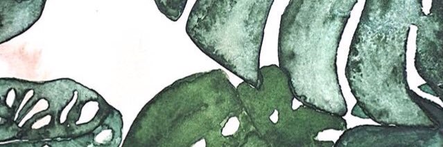 R R 🦁🇨🇷 banner