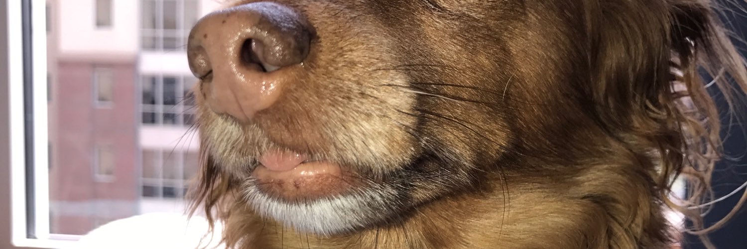 sarah_repasy's profile banner image
