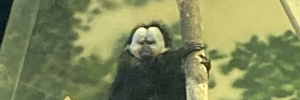 v0ltafan420 Profile Banner