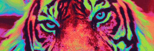 beast_pixels Profile Banner