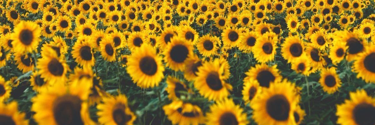 __royalty87's profile banner image