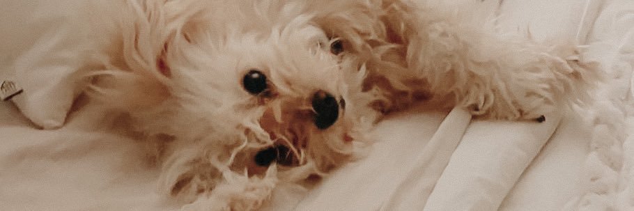 MasonEHam's profile banner image