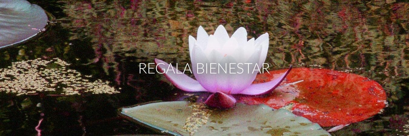 escaparaterocam's profile banner image