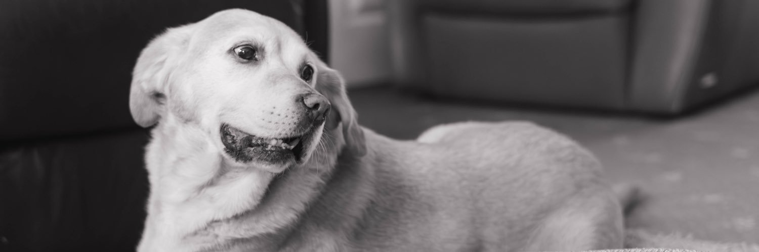 itslozz_'s profile banner image