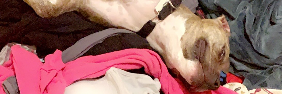 p3ttycr0cker's profile banner image