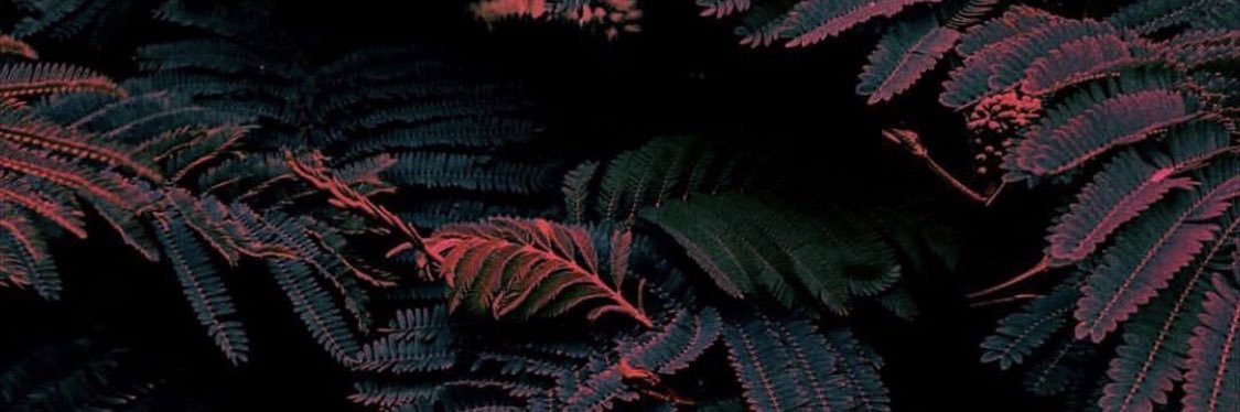xxkeba's profile banner image