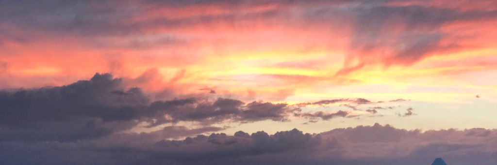 meg_konko's profile banner image