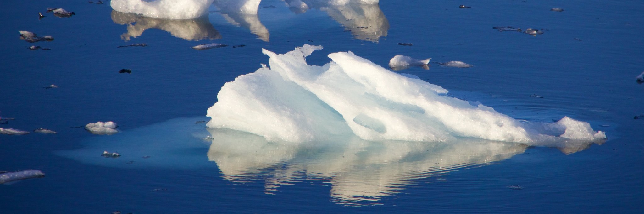Dr. Allison Jacobel banner