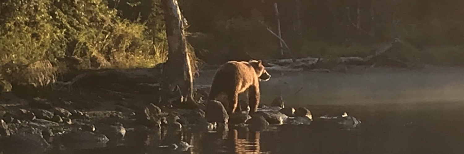 DGJR1281's profile banner image