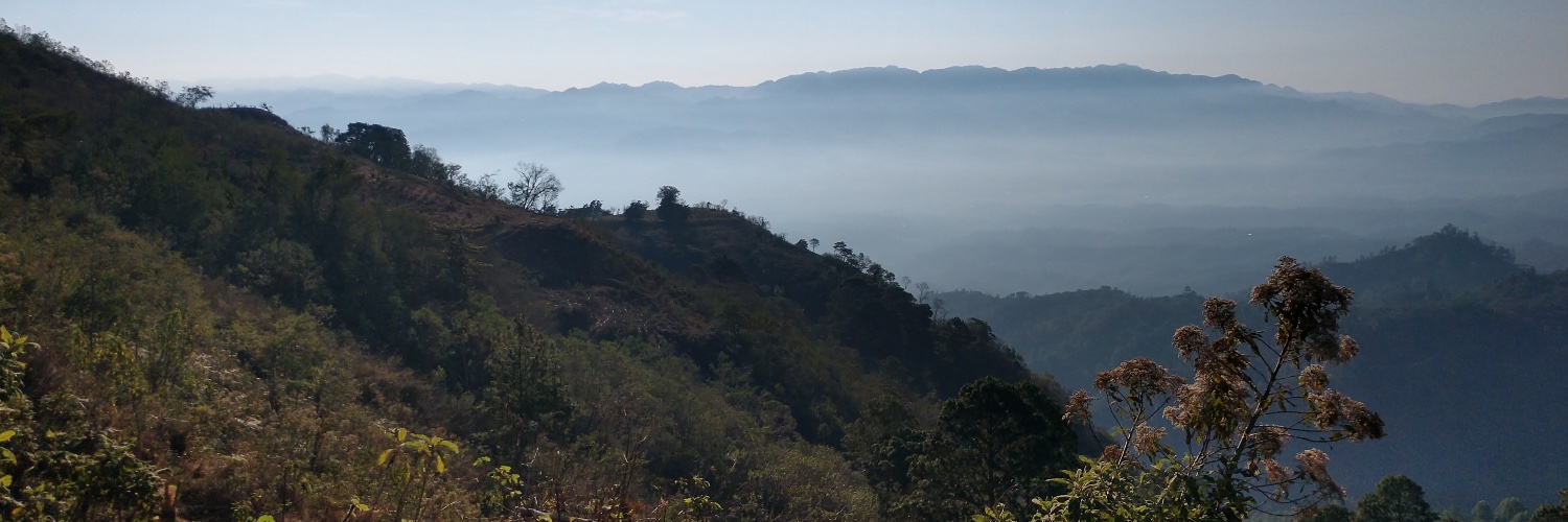 TinyFootprintCoffee banner