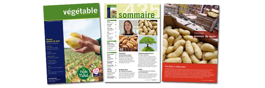 magazine végétable banner