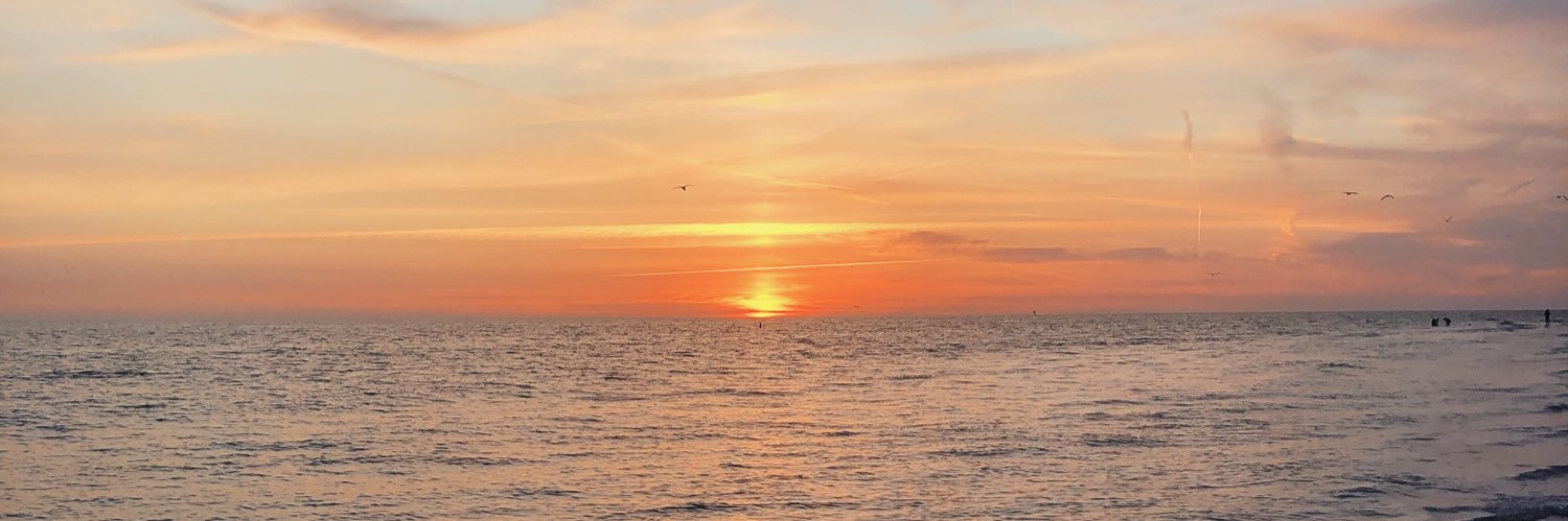 emwilliamson7's profile banner image