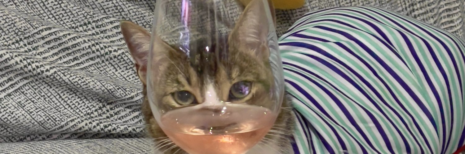 terronzita's profile banner image