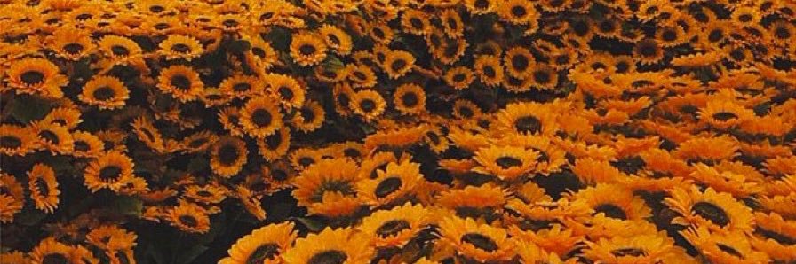 _katsass's profile banner image
