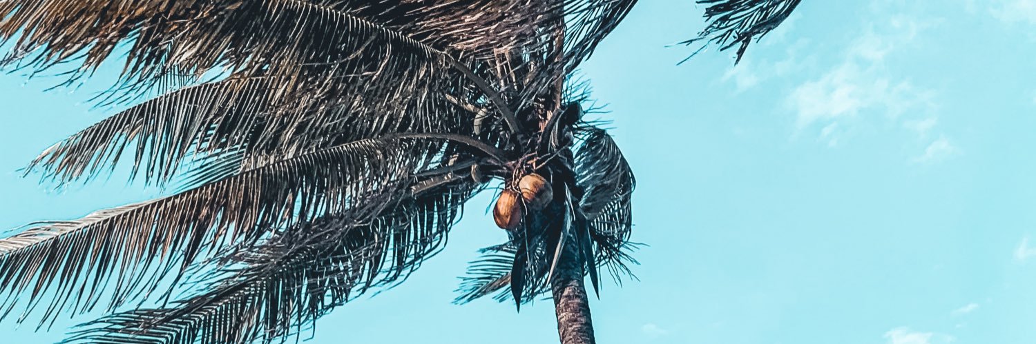 amandapeake_'s profile banner image