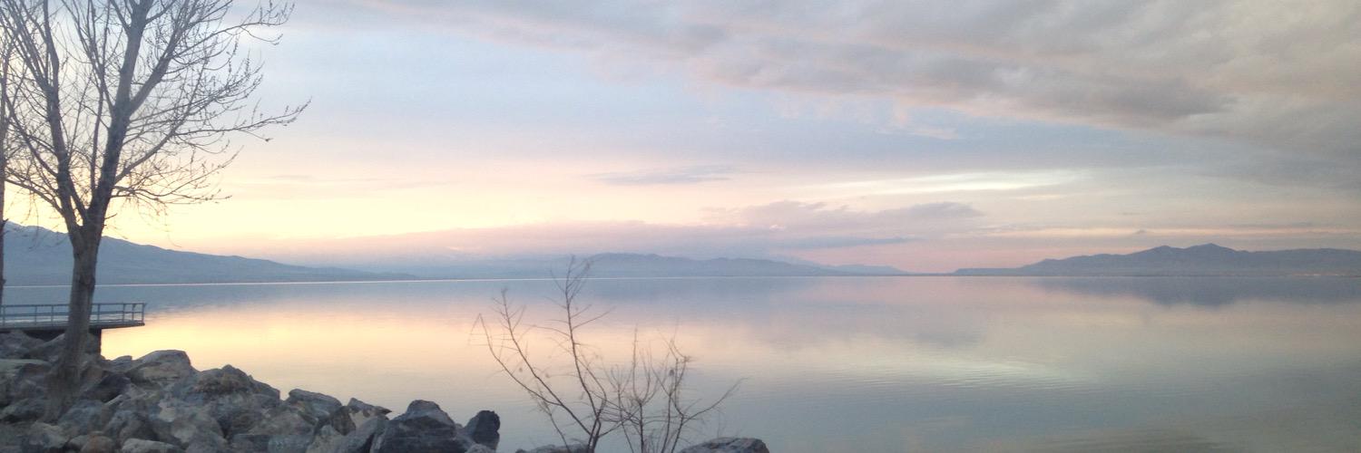 BarrAli's profile banner image