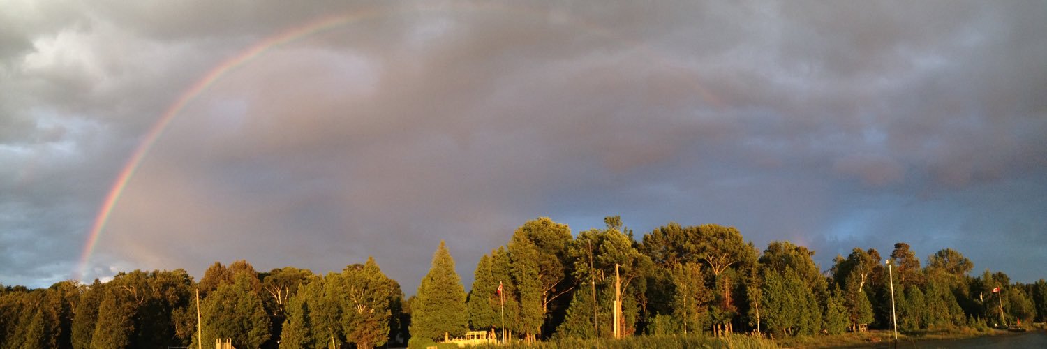 lissendicott's profile banner image