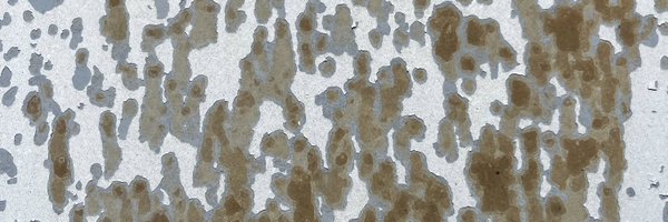 nofucksgavin Profile Banner