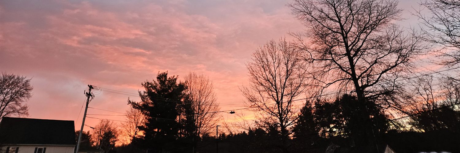 Yankee Curmudgeon banner