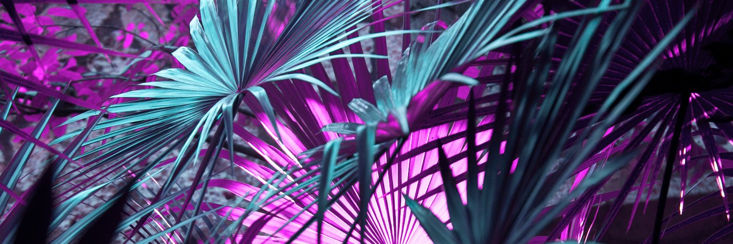 PurpleMambaClub banner