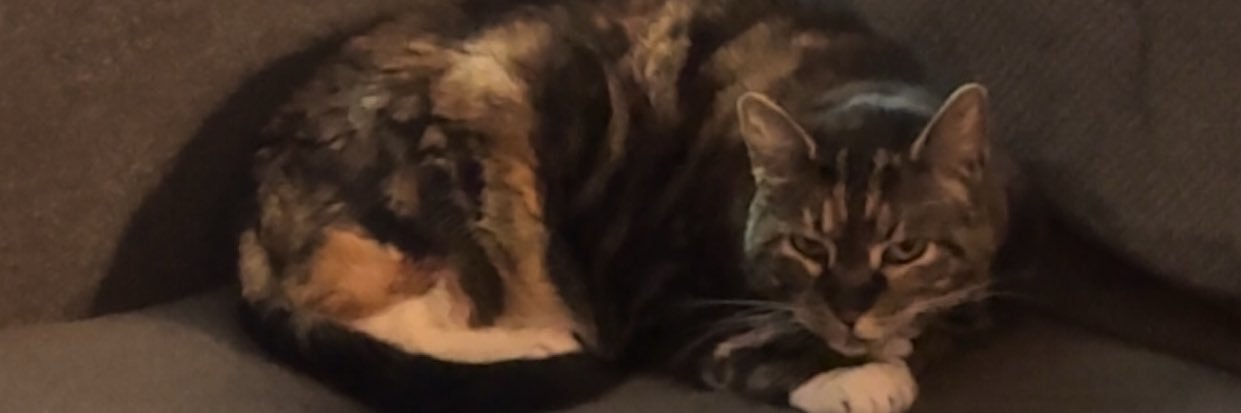 lantzty's profile banner image