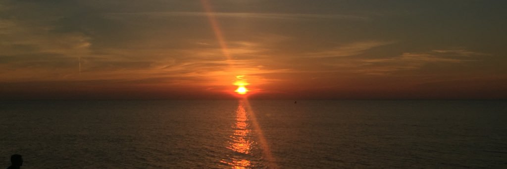claire_witte's profile banner image