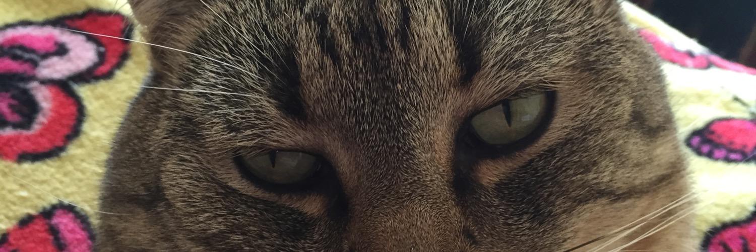 amberdeanrx's profile banner image