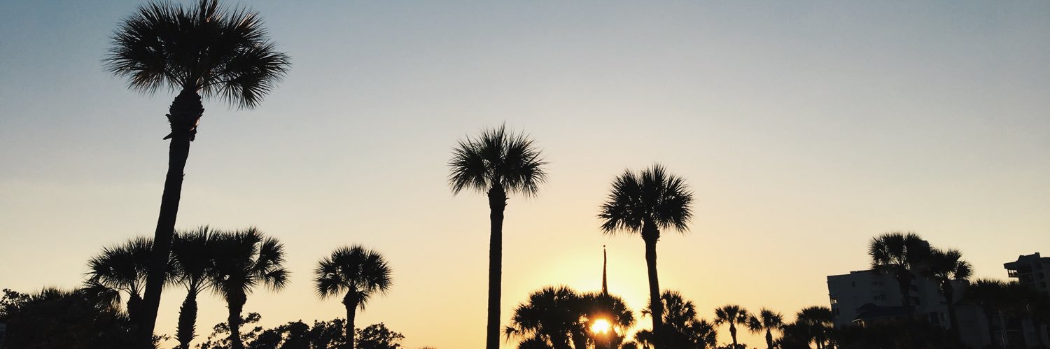 AbbeeThorpe's profile banner image