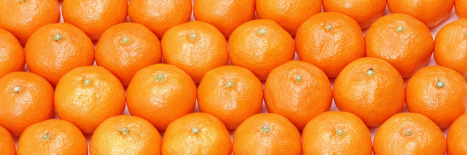 donutwithapoppy's profile banner image